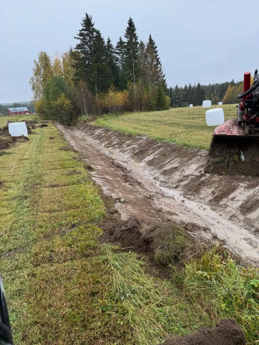 Dikning längs åker