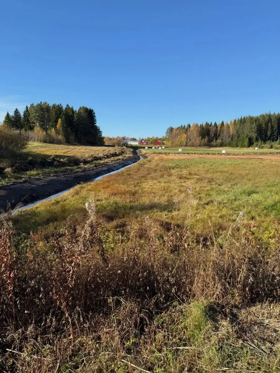 Nygrävt dike genom öppen åkermark mot röda gårdar